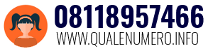 Numero di telefono 08118957466 08118957466