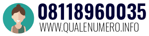 Numero di telefono 08118960035 08118960035
