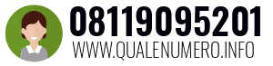 Numero di telefono 08119095201 08119095201