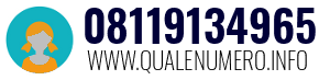 Numero di telefono 08119134965 08119134965
