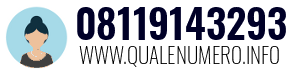 Numero di telefono 08119143293 08119143293