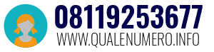 08119253677