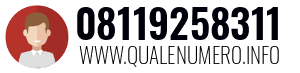 Numero di telefono 08119258311 08119258311