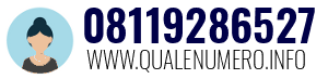 Numero di telefono 08119286527 08119286527