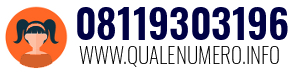 Numero di telefono 08119303196 08119303196