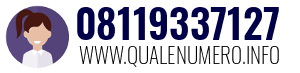 Numero di telefono 08119337127 08119337127