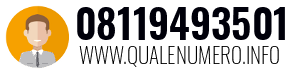 Numero di telefono 08119493501 08119493501
