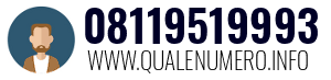 Numero di telefono 08119519993 08119519993