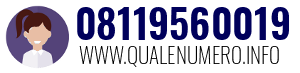 Numero di telefono 08119560019 08119560019