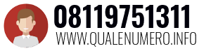 Numero di telefono 08119751311 08119751311