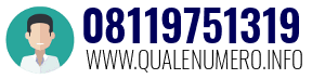 Numero di telefono 08119751319 08119751319