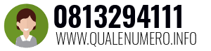 Numero di telefono 0813294111 0813294111