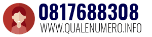 Numero di telefono 0817688308 0817688308