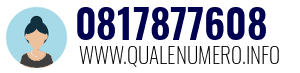 Numero di telefono 0817877608 0817877608