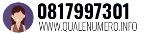 Numero di telefono 0817997301 0817997301