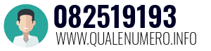 Numero di telefono 082519193 082519193