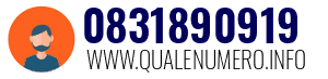 Numero di telefono 0831890919 0831890919