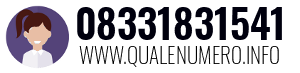 08331831541