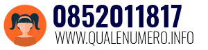 0852011817