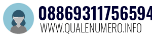 08869311756594