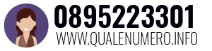 0895223301