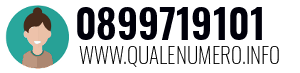 0899719101