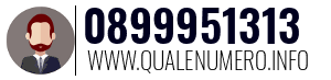 0899951313
