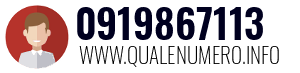 Numero di telefono 0919867113 0919867113